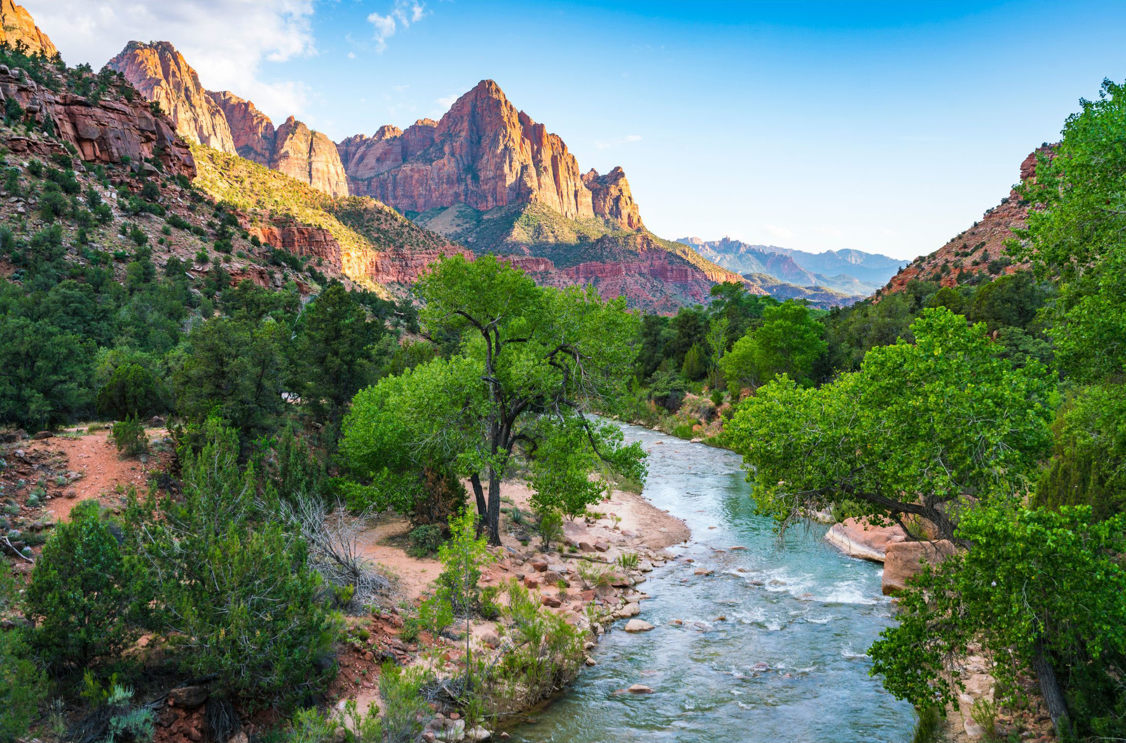 Zion National Park in Utah on a sunny day. There are mountains in the background. A river cuts through a forested area in the foreground.